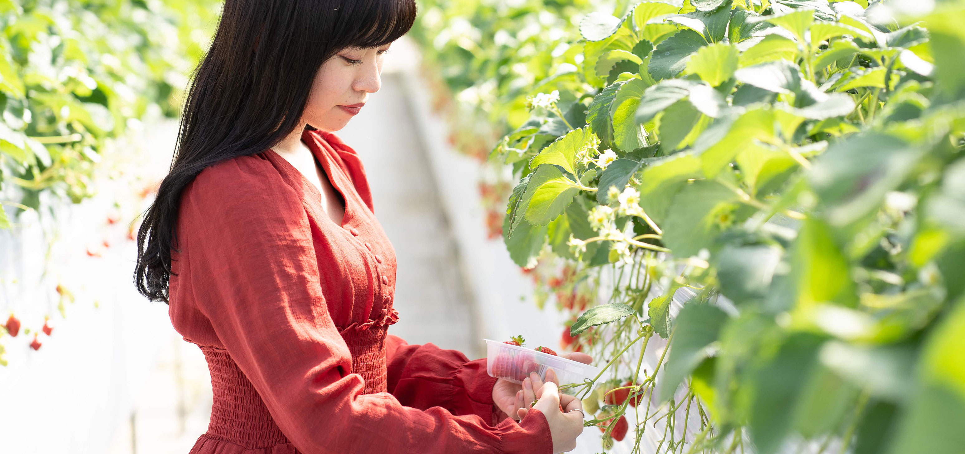 「地域独自のレジャーを企画する」