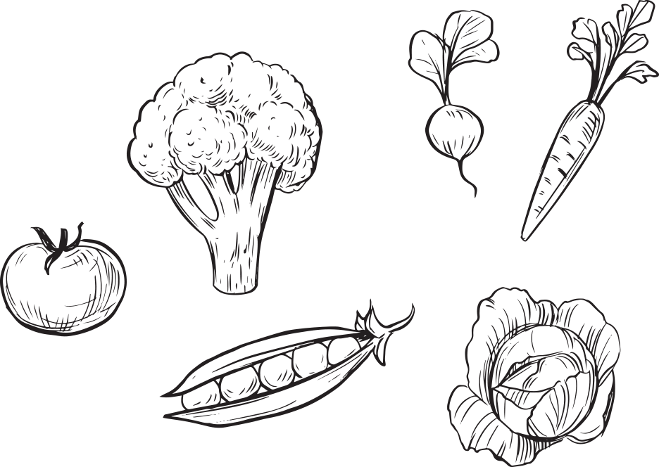 太陽の恵みと風光明媚な山、陸から採れた特産の風味
