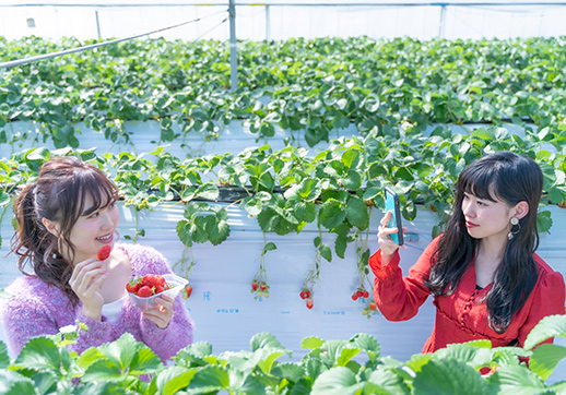 町おこしと共同プロジェクトで盛り上げる 周辺の産業連携