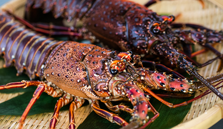 資源プロデュース