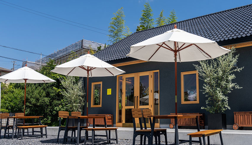 フィールド設計